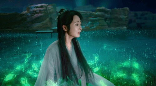 (雪中回眸新作)雪中回眸三部曲是哪三部？揭开神秘面纱，探寻其中秘密。