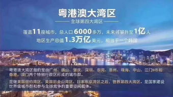 王中王资料大全料大全1|保障成语理解的准确性_静态版.2.882