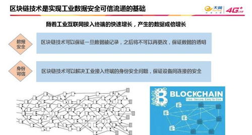 精准新澳门内部一码|实践数据解释落实_PT型.2.318