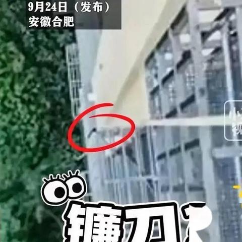 2024年香港今晚开奖O68期|动态分析解释落实_潮流版APP.2.886
